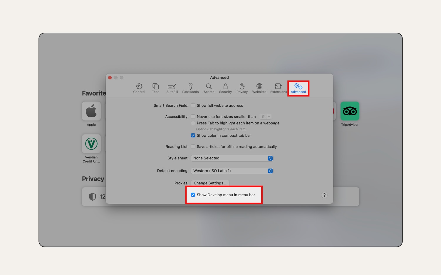 Screenshot: Erweiterte Einstellungen in Safari