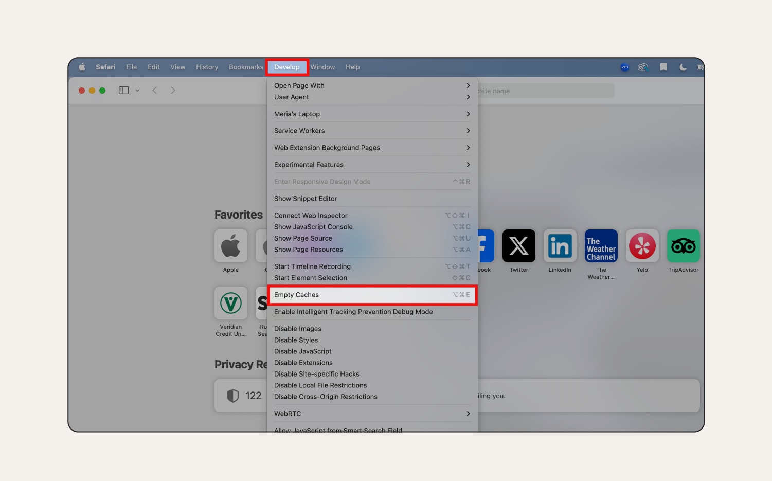 Screenshot: Entwicklermenü in Safari