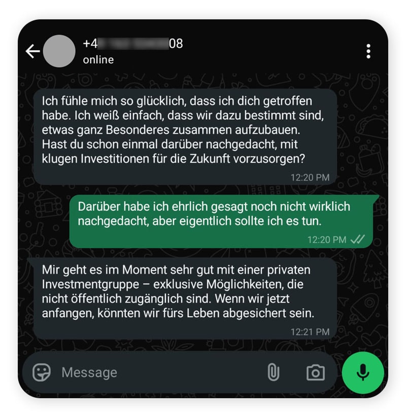 Ein Chat-Austausch: Liebesbetrug im Austausch für Kryptowährung.
