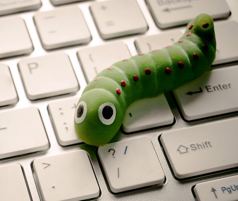 Was ist ein Computerwurm? Funktionsweise und Verbreitung